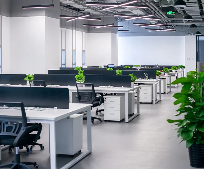 Company Profile